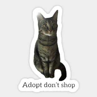 Adopt Don’t Shop Sticker